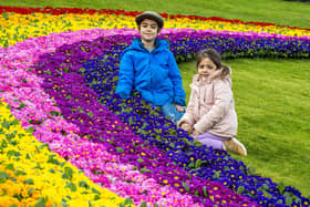 PIC LISA FERGUSON: Ivy Anderson, four, and six-year-old brother Basil marvel at the 'Rainbow of Hope'