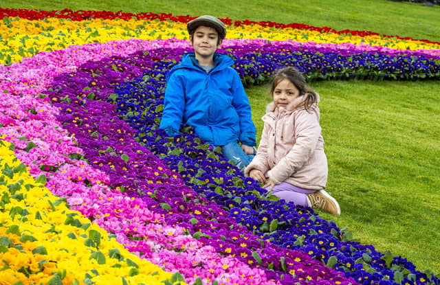 PIC LISA FERGUSON: Ivy Anderson, four, and six-year-old brother Basil marvel at the 'Rainbow of Hope'