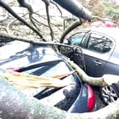 Lesley Kerr, 62, standing next to her car which was damaged by a fallen tree during Storm Isha on Sunday evening (pic: Lisa Ferguson)