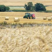 The Basic Payment Scheme and Greening advance payments, which are two weeks ahead of last year’s first payments, started to reach bank accounts on Tuesday and will be paid to over 13,000 businesses across Scotland (pic: Lisa Ferguson)