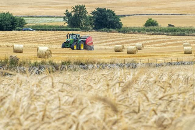 The Basic Payment Scheme and Greening advance payments, which are two weeks ahead of last year’s first payments, started to reach bank accounts on Tuesday and will be paid to over 13,000 businesses across Scotland (pic: Lisa Ferguson)