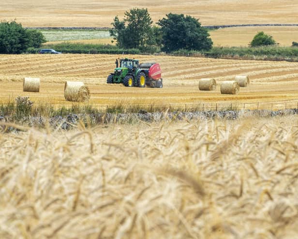 The Basic Payment Scheme and Greening advance payments, which are two weeks ahead of last year’s first payments, started to reach bank accounts on Tuesday and will be paid to over 13,000 businesses across Scotland (pic: Lisa Ferguson)