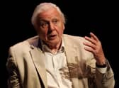 Sir David Attenborough has warned of catastrophic consequences if world leaders don't act on climate change, ahead of COP26.