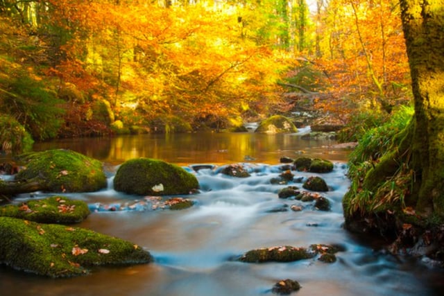 Dartmoor National Park offers a landscape unlike any other. There are countless pathways and trails throughout Dartmoor, but The Dartmoor Way and Two Moors Way are the most popular for stunning autumnal landscapes.