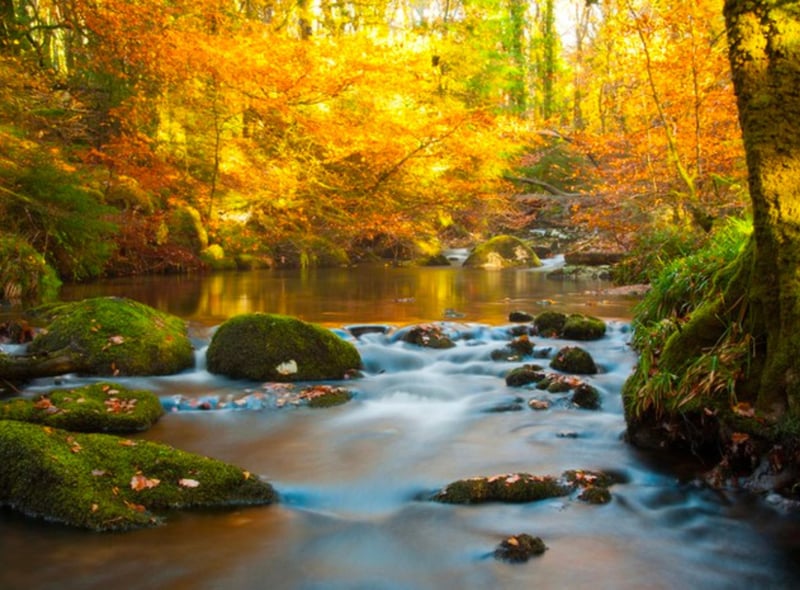 Dartmoor National Park offers a landscape unlike any other. There are countless pathways and trails throughout Dartmoor, but The Dartmoor Way and Two Moors Way are the most popular for stunning autumnal landscapes.