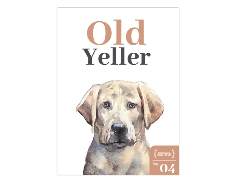 Possibly the most iconic sad dog film on our list, Old Yeller is famous for THAT scene that pulls at the heartstrings every time and is sure to leave viewers a crying mess. It was released back in 1957 based on the novel of the same name but has stood the test of time. Set on a Texas ranch just after the Civil War, this story is about a boy called Travis (Tommy Kirk) and a stray dog who enters his life for the better.
