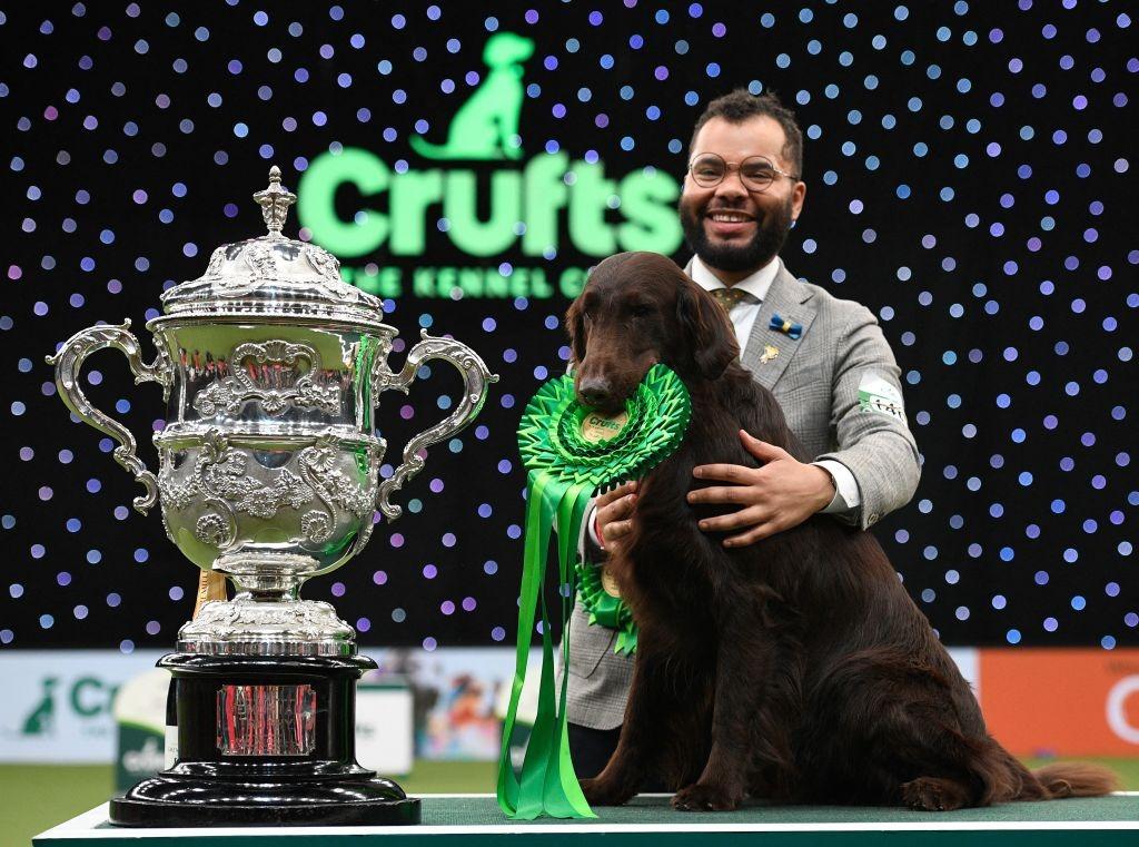 best-in-show