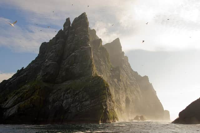 Northern gannets seen on top of the remote and steep cliffs of St Kilda. Picture: Getty Images/iStockphoto