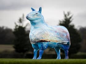 The growing is good at the Royal Highland Show