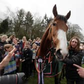 Corach Rambler during the Randox Grand National winners homecoming at Arlary House Stables, Kinross. Picture date: Sunday April 16, 2023.