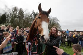 Corach Rambler during the Randox Grand National winners homecoming at Arlary House Stables, Kinross. Picture date: Sunday April 16, 2023.