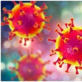 The World Health Organization says the official name for the disease caused by the new coronavirus is Covid-19, and has now declared the outbreak as a pandemic.