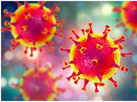 The World Health Organization says the official name for the disease caused by the new coronavirus is Covid-19, and has now declared the outbreak as a pandemic.