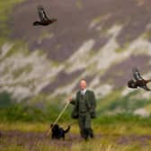 Grouse shooting is an important part of the rural economy (Picture: Jeff J Mitchell/Getty Images)