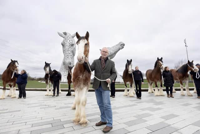 Artist and sculptor of The Kelpies Andy Scott pictured with the Clydedale Horses at The Kelpies. PIC: Perthshire Picture Agency/Graeme Hart