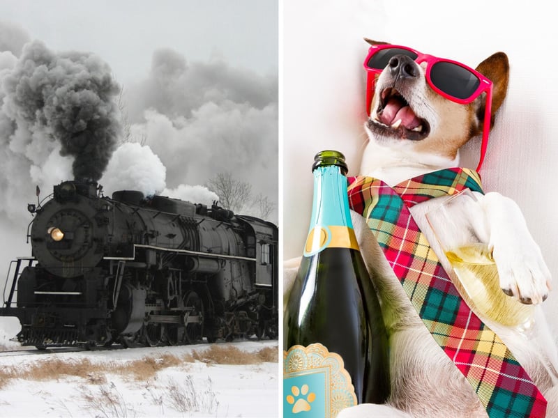 Are we referring to the steaming kettle or the iconic steam train? Nope. Steaming is one of Scotland's (many) words for being drunk e.g., "I'm pure steaming!"