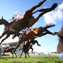 Aye Right is a classy battler. Picture: Michael Steele/Getty Images
