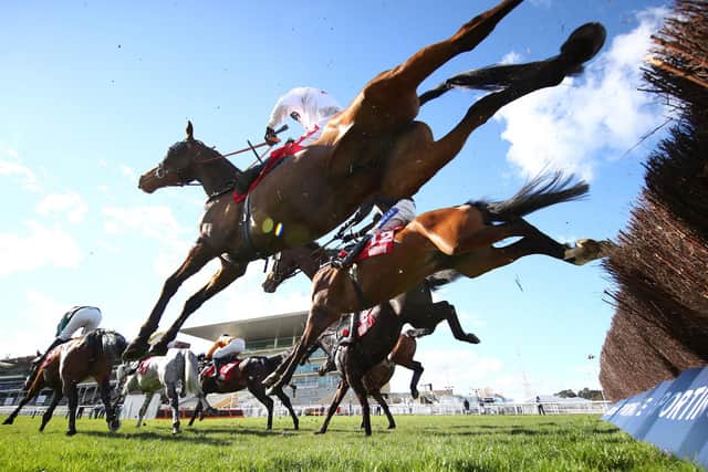 Aye Right is a classy battler. Picture: Michael Steele/Getty Images
