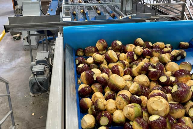 Stewarts of Tayside said its new vegetable handling machinery will see a 25 per cent increase in the tonnage of swedes it is able to wash and package.
