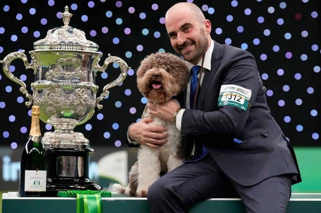 Orca, a Lagotto Romagnolo, winner of the Gundog group title, seen with handler Javier Gonzalez Mendikote, owned by Sabina Zdunić Šinković and Ante Lučin from Croatia, wins overall Best In Show at Crufts 2023.