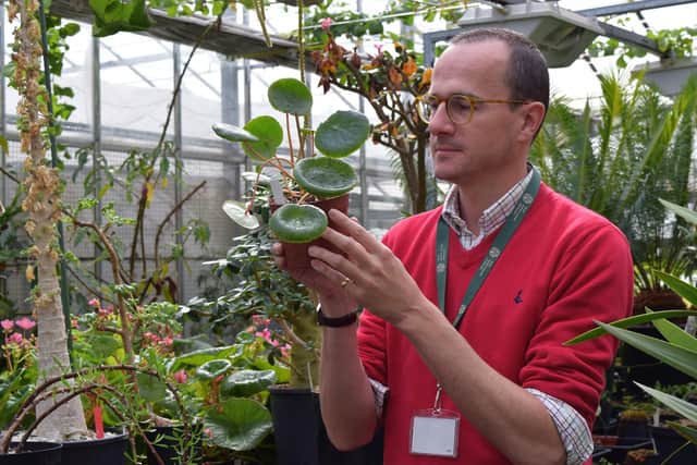 Dr Mark Hughes said giving plants a scientific name is the first step to ensuring their future
