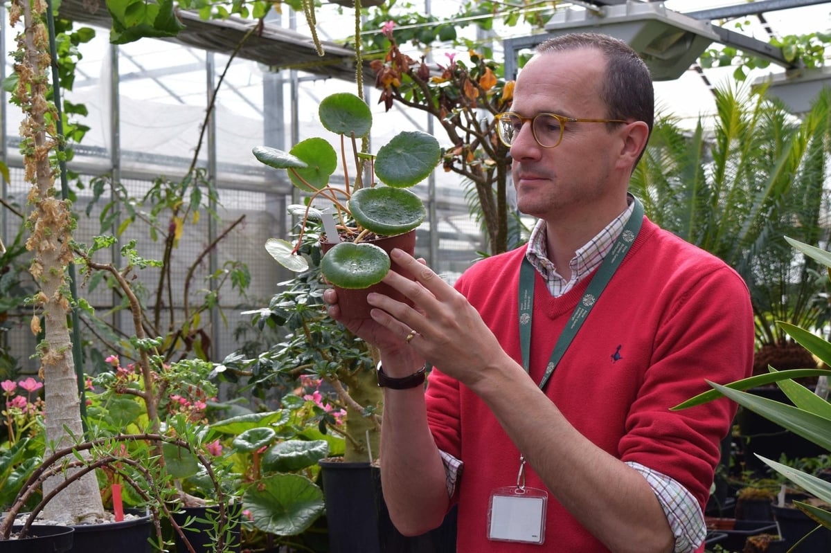 70 new species of plants found in a year by the Royal Botanic Garden Edinburgh