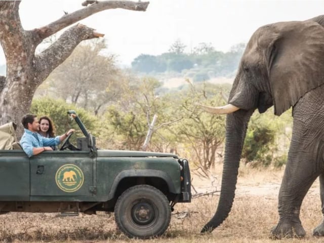 Starring (relative) A-listers Rob Lowe and Kristin Davis, Holiday in the Wild takes the Netflix Christmas CInematic Universe to Africa for the first time. When her husband abruptly ends their marriage, empty nester Kate embarks on a solo second honeymoon in Zambia, finding purpose and the inevitable romance.