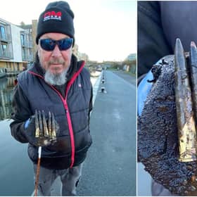John Robertson found the bullets on Saturday