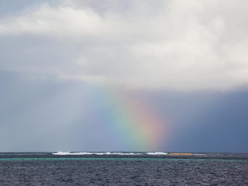 Have you ever seen a "patch" of a rainbow in the sky but not in full shape? Then what you saw is actually a watergaw - a word that refers to the rainbow colours appearing but only partly.