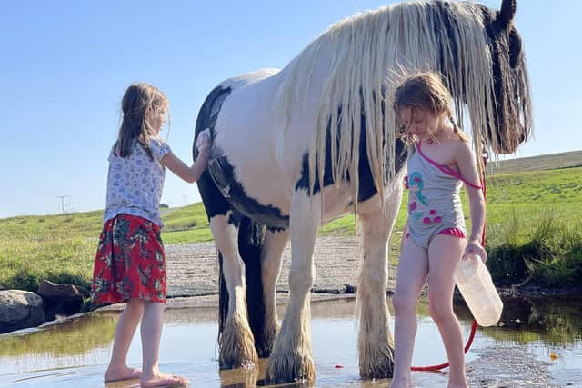 Two of the Owen children washing one of the horses at Ravenseat Farm, Whitsundale, Yorkshire.