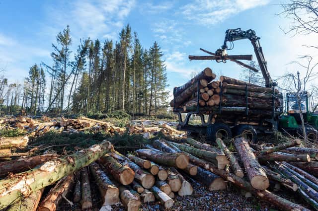 More than 20,000 trees had to be felled as a result of the repeated storm events.