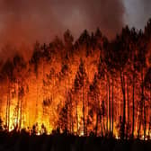 The sheer scale of the wildfire is so large that its plume of smoke can be seen from space
Thibaud Moritz/Getty