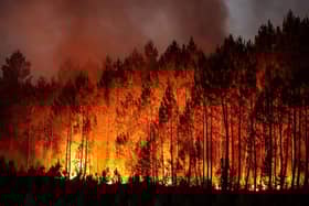 The sheer scale of the wildfire is so large that its plume of smoke can be seen from space
Thibaud Moritz/Getty