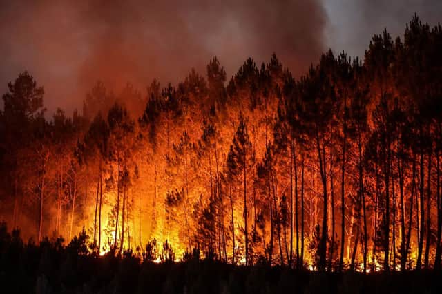 The sheer scale of the wildfire is so large that its plume of smoke can be seen from space
Thibaud Moritz/Getty