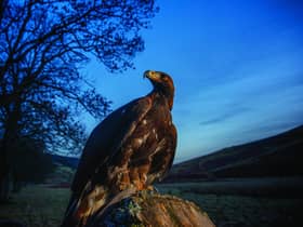 Image: Phil Wilkinson