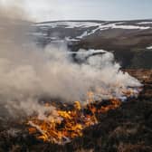 Gamekeeper using controlled fire in Donside. (Pic: Kirk Norbury)