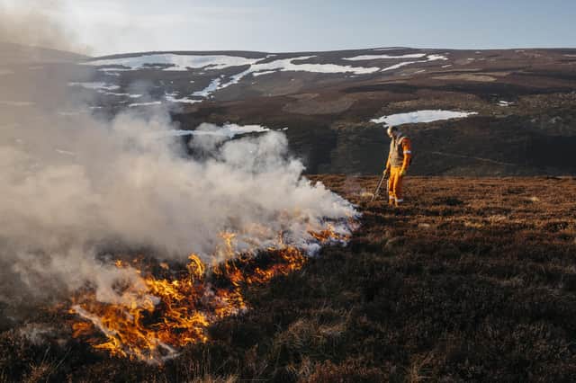 Gamekeeper using controlled fire in Donside. (Pic: Kirk Norbury)