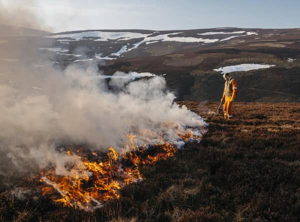 Gamekeeper using controlled fire in Donside. (Pic: Kirk Norbury)