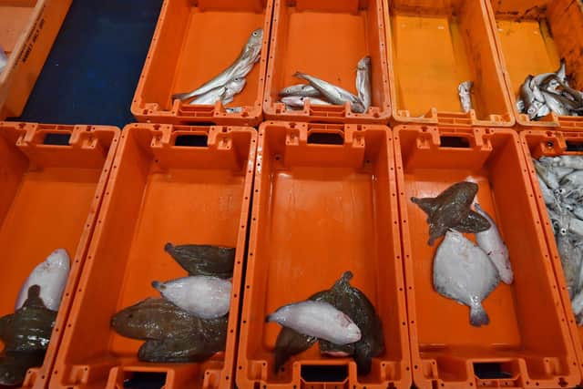 The catch from the stern trawler 'Nicola Anne' is graded before sale in the fish market at Sutton Harbour. Picture: Ben Stansall/AFP via Getty Images