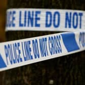 Police are hunting for two men seen in the area at the time of the sexual assault. 