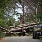 Storm Arwen caused devastation in parts of Scotland, with thousands left without power