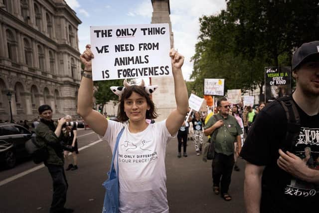 An activist with a placard