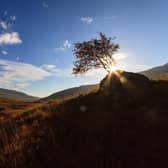 Picture taken between Loch Duich and Loch Cluanie, in the Highlands, next to Glen Shiel on the A87. Picture: Getty Images