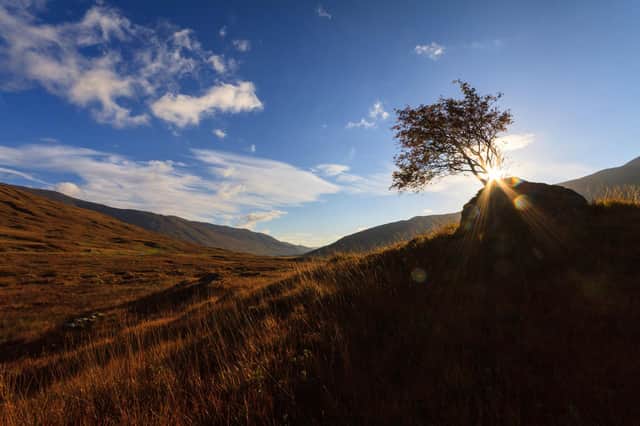 Picture taken between Loch Duich and Loch Cluanie, in the Highlands, next to Glen Shiel on the A87. Picture: Getty Images