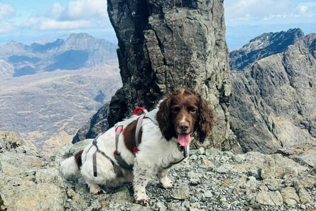 Scaling the Inn Pinn