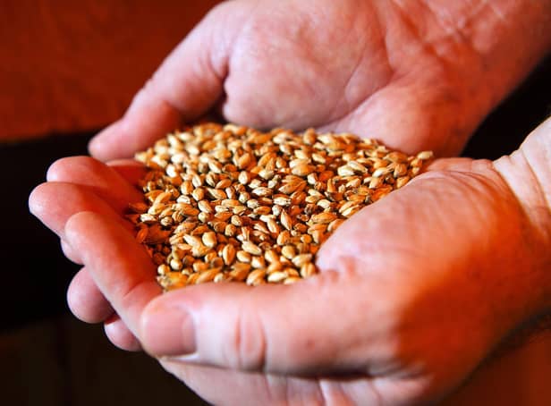 The firm supplies cereal, barley, seed and fertiliser to the whisky, malting and distilling sectors (file image). Picture: Andy Buchanan/AFP via Getty Images.