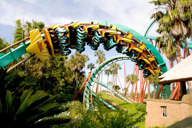 A roller-coaster at the Busch Gardens theme park.