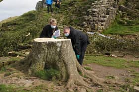 Forensic investigators from Northumbria Police examine the felled Sycamore Gap tree, on Hadrian's Wall in Northumberland. Picture: Owen Humphreys/PA Wire