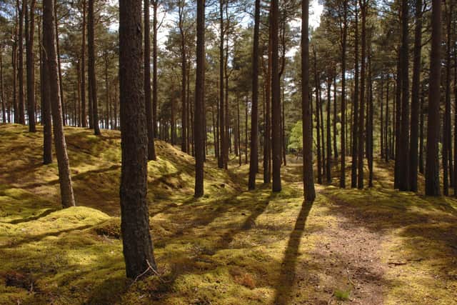 Scotland has missed its national target to plant 13,500 hectares of trees in 2021/22, creating 10,480 hectares -- the impact of storms and the massive emergency clear-up operations required in their aftermath has been blamed for the shortfall