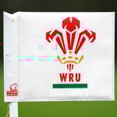 The Welsh Rugby Players’ Association say that “players have had enough” amid the ongoing uncertainty caused by Welsh rugby’s professional contracts freeze.